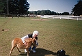 Adeline Suring mini horse